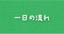 一日の流れ